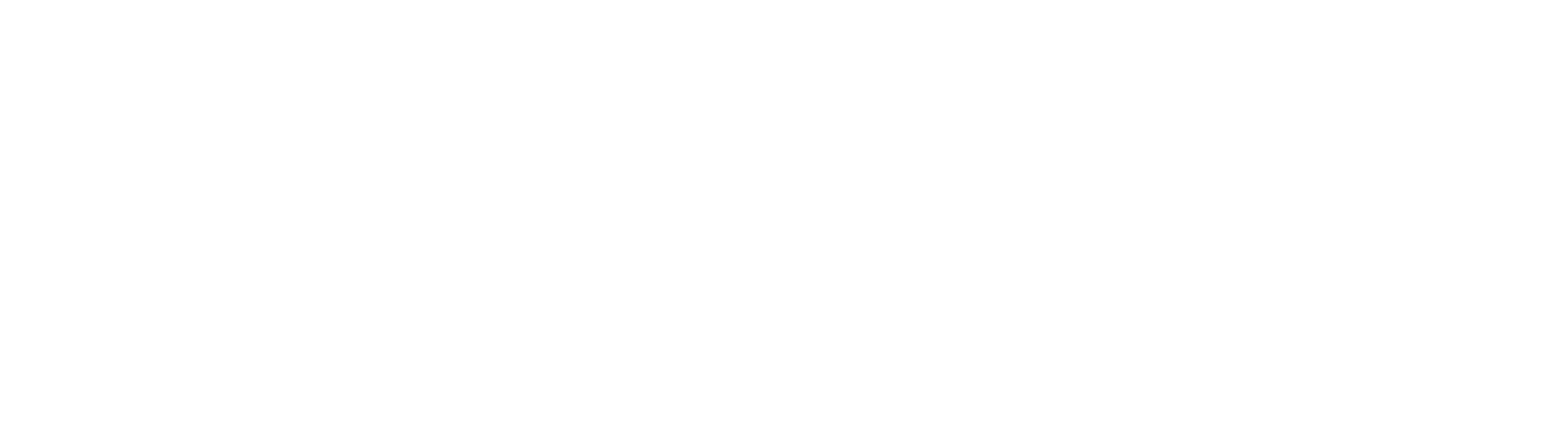 Logo Lessmann QUER w